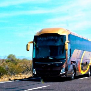 Permiso D - Autoescuela Guardo